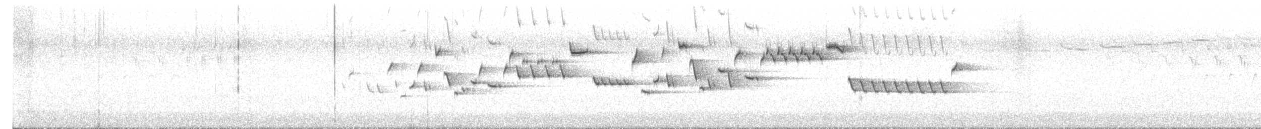 フユミソサザイ - ML637654086