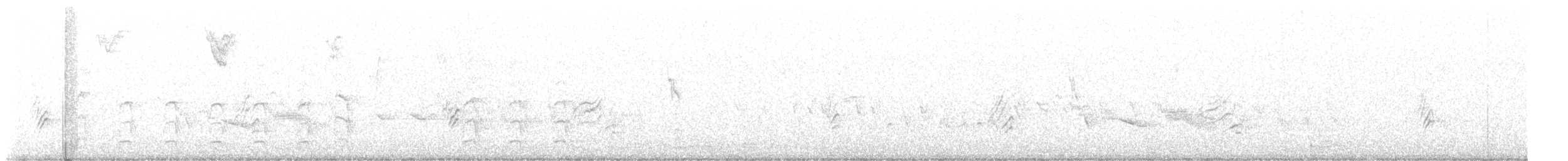 Gila Woodpecker - ML637654099
