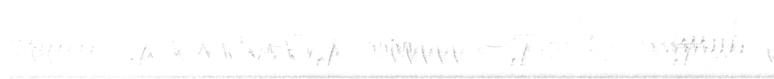 Lucy's Warbler - ML637654229