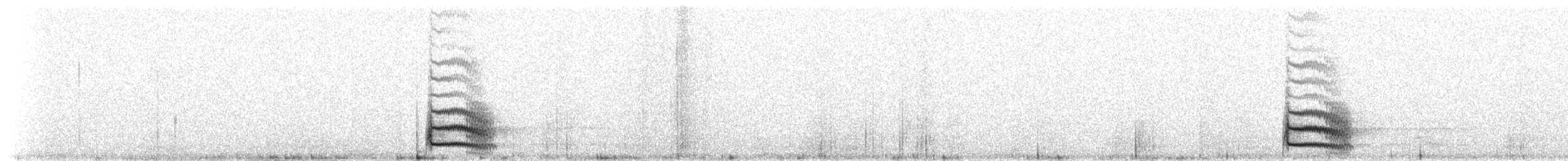 Australian Owlet-nightjar - ML637655849