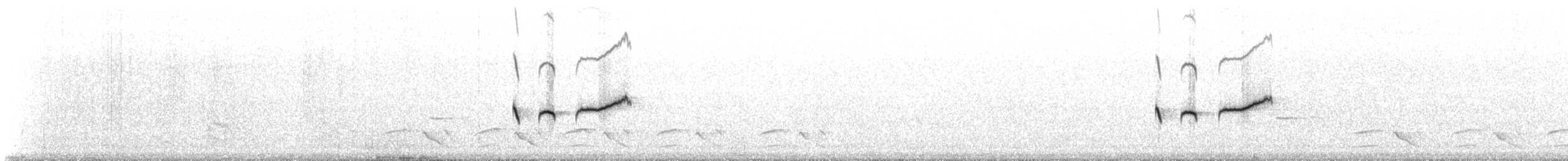 sørkrattskvett - ML637656650