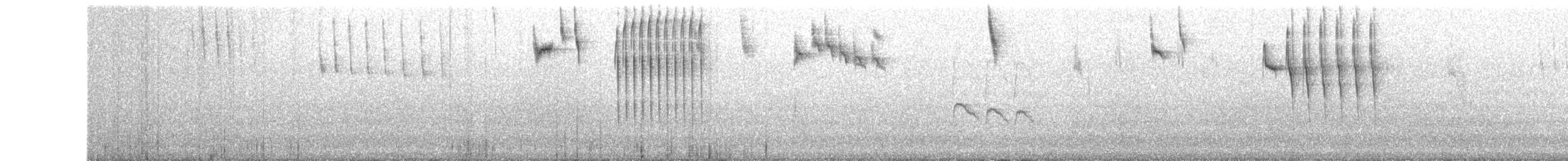 Striated Grasswren - ML637657130