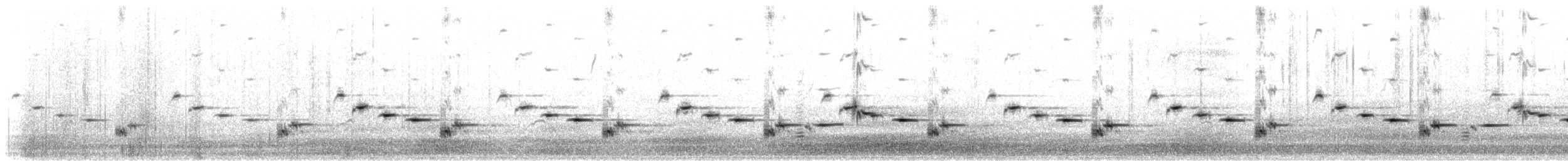 Chiming Wedgebill - ML637658832