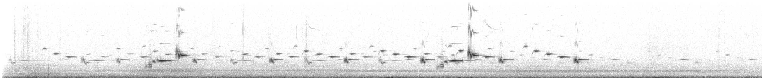 Chiming Wedgebill - ML637658834