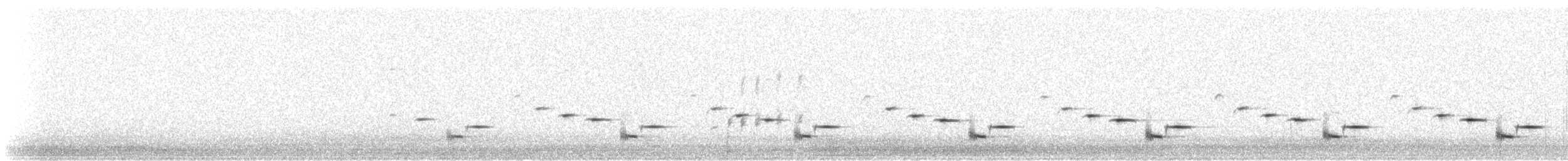 Chiming Wedgebill - ML637658838