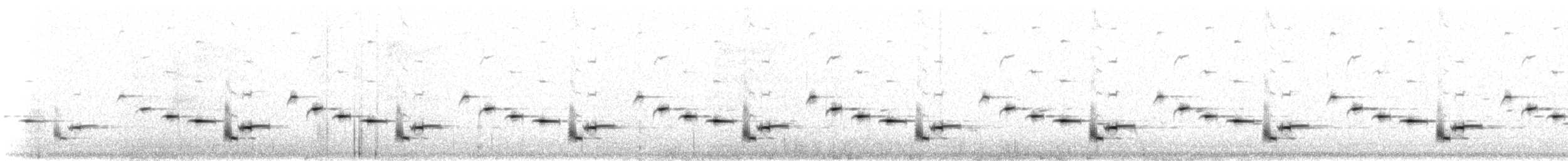 Chiming Wedgebill - ML637658839