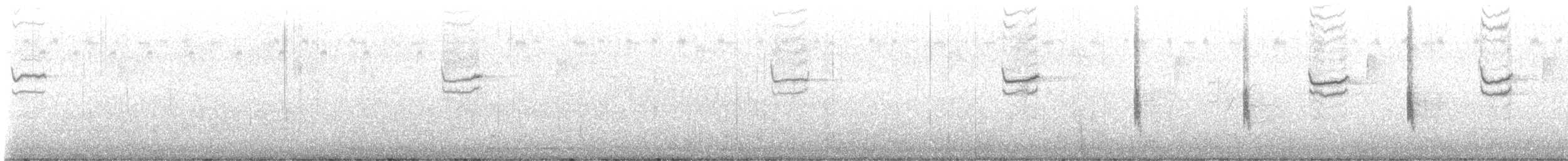 Northern Mockingbird - ML637659679