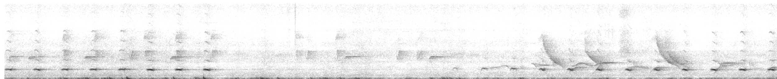 Brasilzwergkauz - ML637660584
