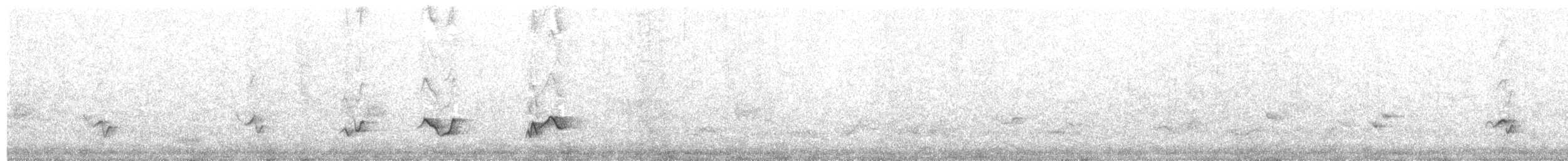 American Robin - ML637663614