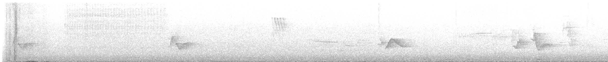 Cassin's Vireo - ML637665173