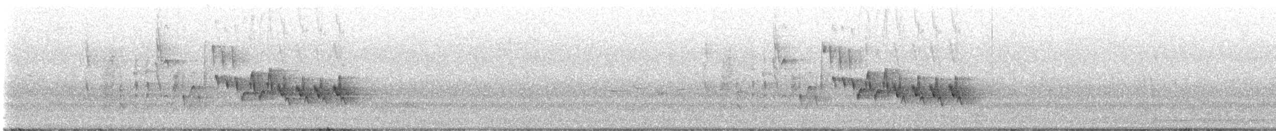 Northern House Wren - ML637665268