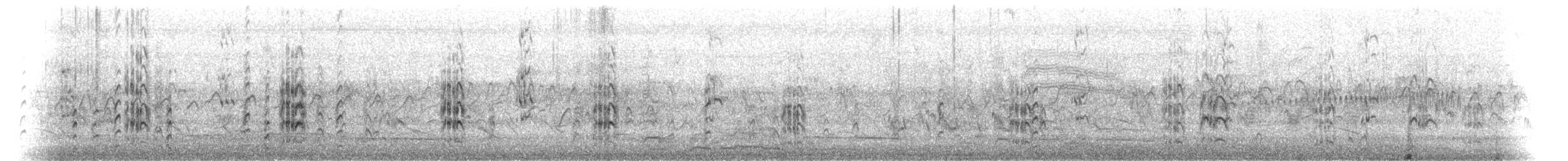 rybák severní - ML637666163