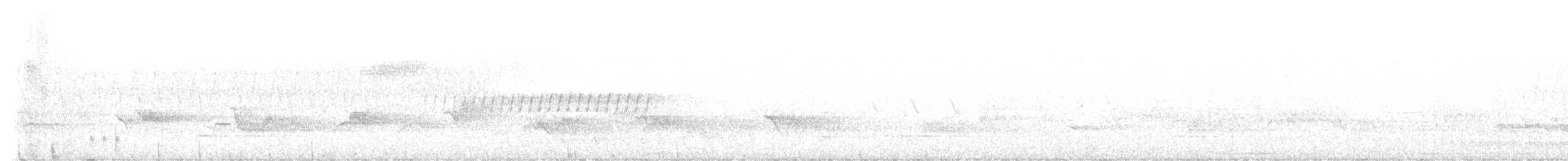Kiefernwaldsänger - ML637667192