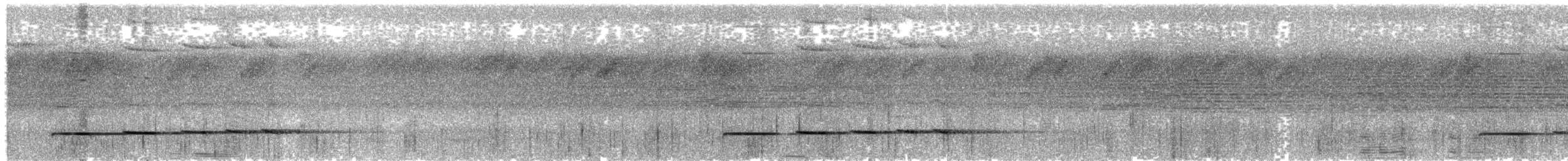Pheasant Cuckoo - ML637667392