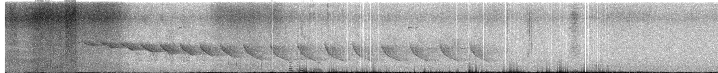Canyon Wren - ML637668782