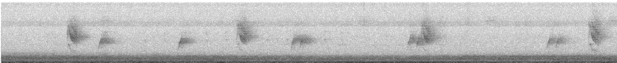 Australian Logrunner - ML637669445