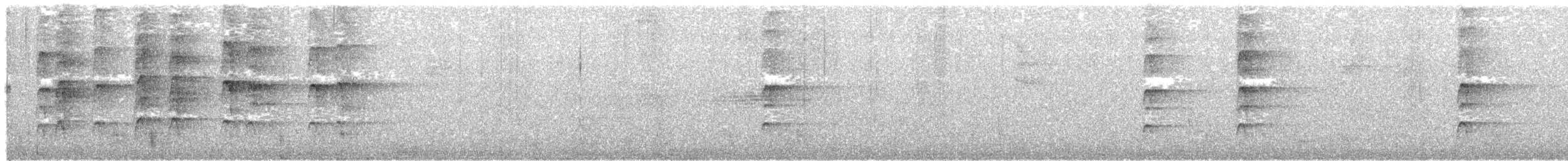 pyrura modrokápý - ML637671283