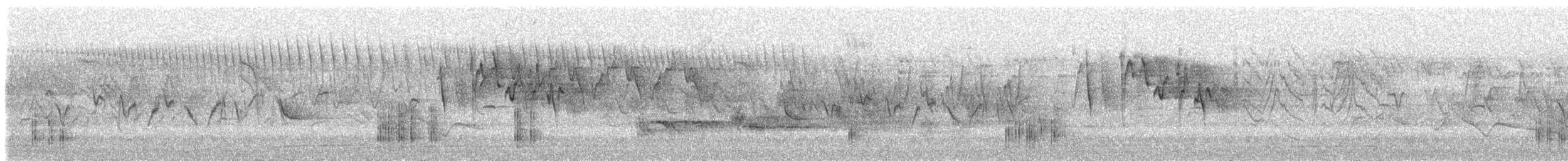 White-browed Bush-Robin - ML637673957