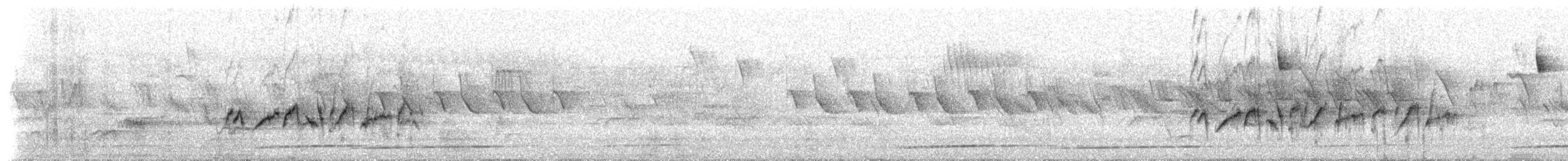 White-browed Bush-Robin - ML637674283