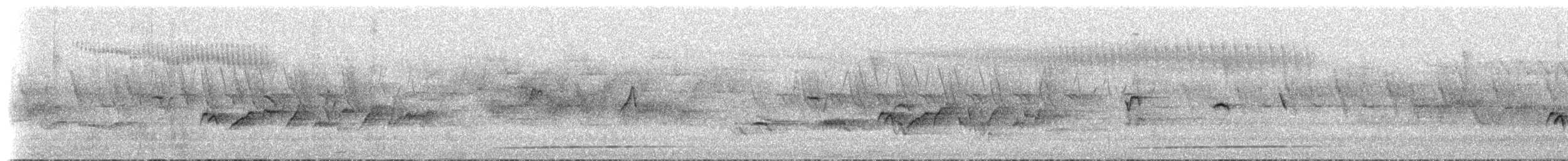 White-browed Bush-Robin - ML637674377