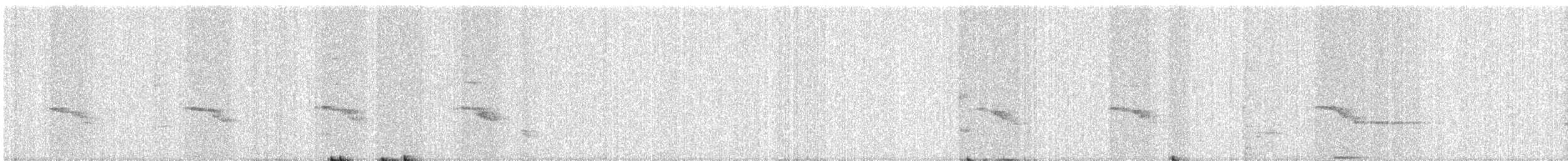 shikrahauk - ML637676874