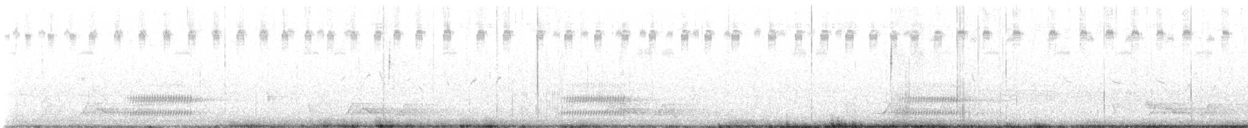 Chuck-will's-widow - ML637678075