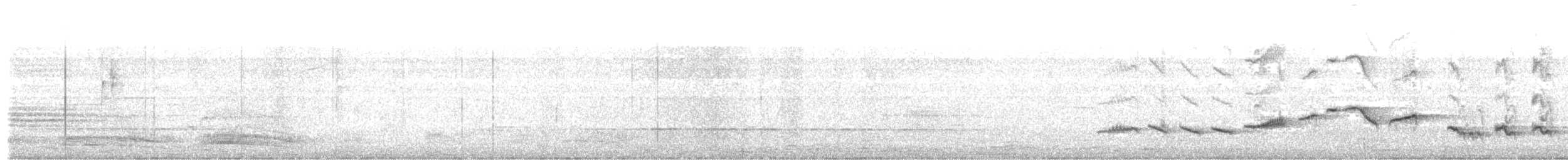 Shama à croupion blanc - ML637678817