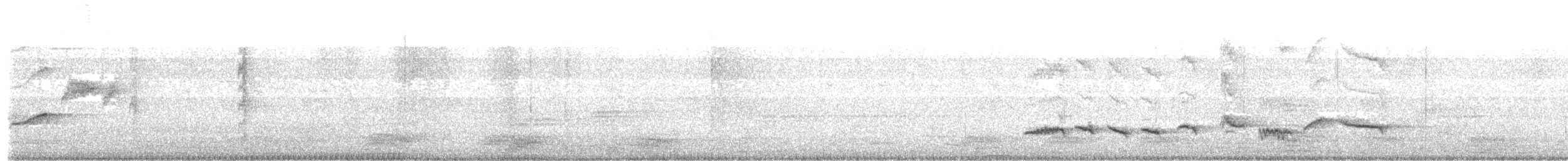 Shama à croupion blanc - ML637678818