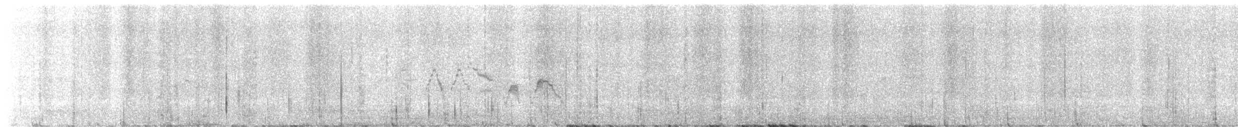 Gray-cheeked Thrush - ML637679335