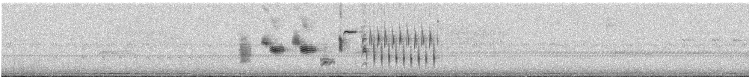 Song Sparrow - ML637681789