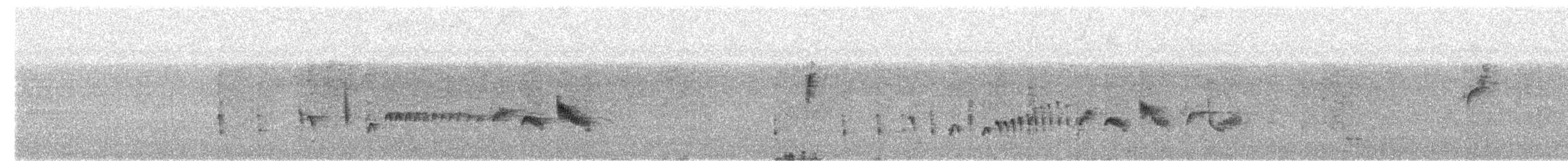 Yellow-eyed Babbler - ML637681889