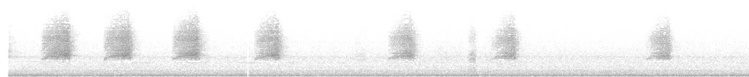 American Barn Owl - ML637685440