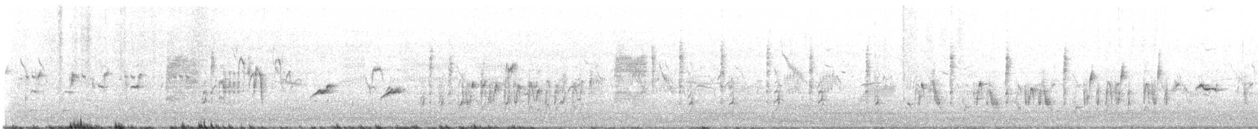 Cannaiola verdognola - ML637685593