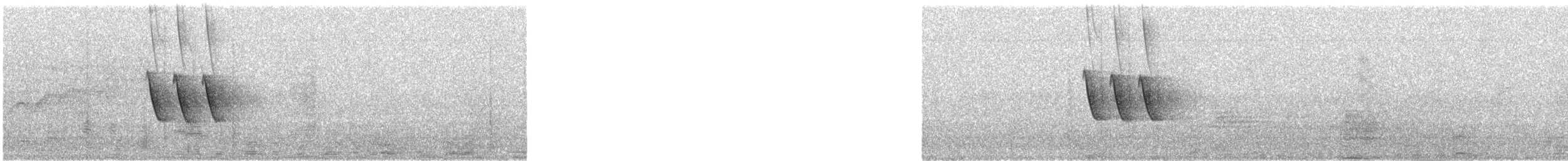 African Pied Wagtail - ML637687470