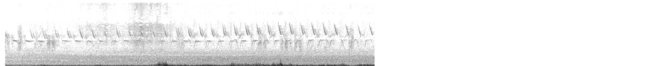 Pipit spioncelle - ML637688488