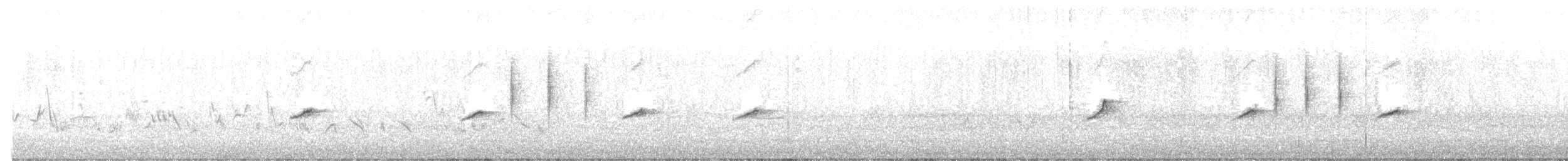 tanımsız Acrocephalus sp. - ML637688745
