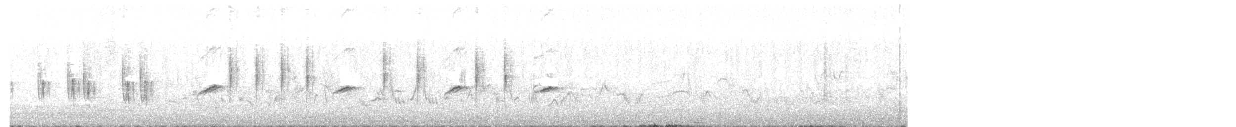 tanımsız Acrocephalus sp. - ML637688746