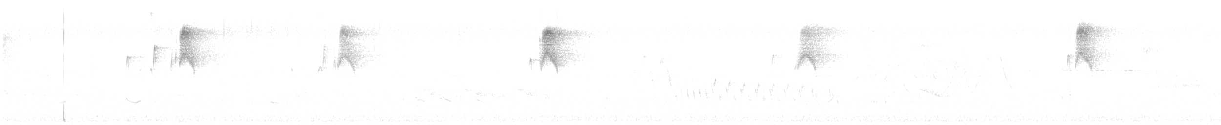 Schieferrücken-Königstyrann - ML637688973