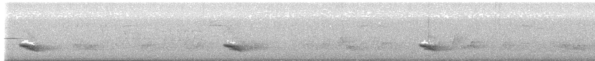 Veery - ML637689830