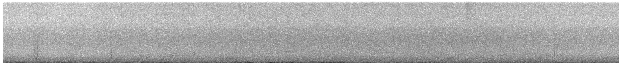 Дронго чорний - ML637690820