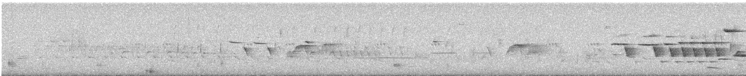 Song Sparrow - ML637691486