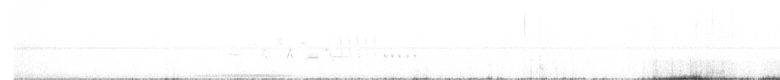 オジロヒメドリ - ML637691849