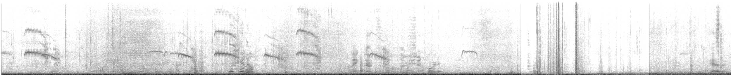 Aleutian Tern - ML637693259