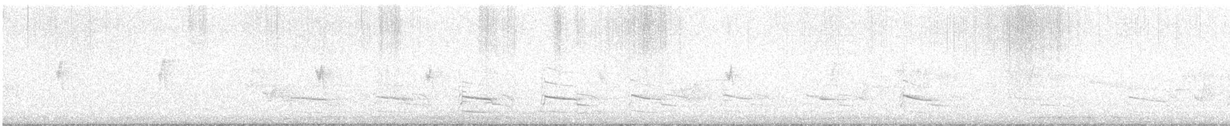 Red-shouldered Hawk - ML637696245