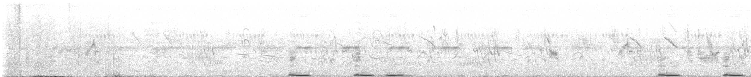 Southern Ground-Hornbill - ML637696632