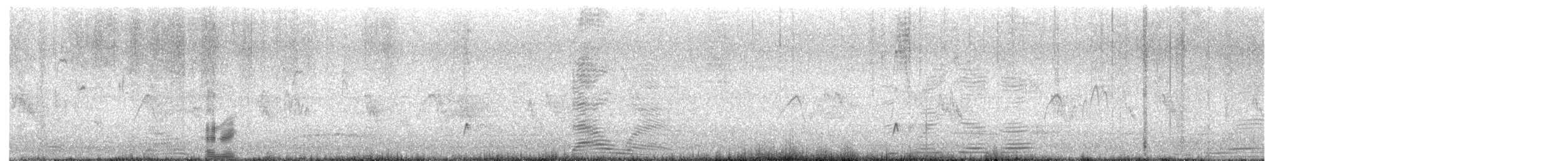 Brown-crested Flycatcher - ML637696879