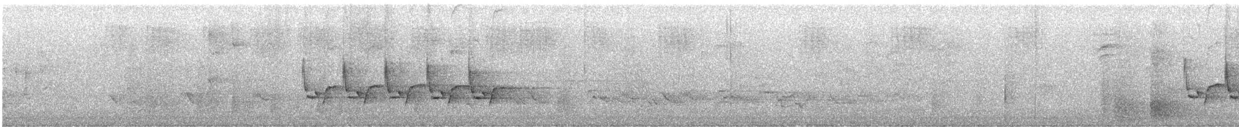 Carolina Wren - ML637701091