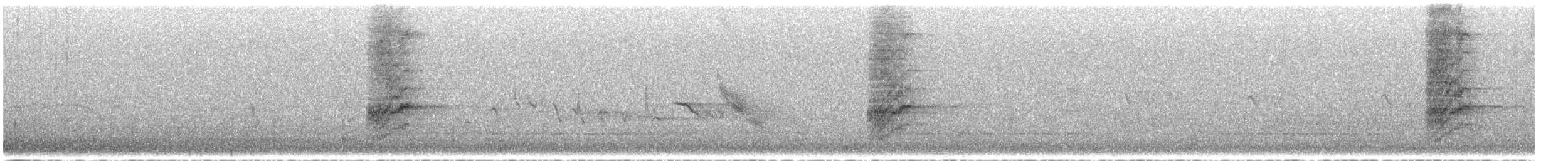 California Scrub-Jay - ML637706035