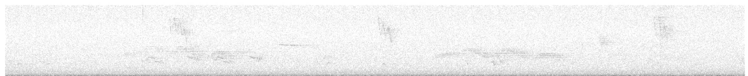 Veery - ML637708281