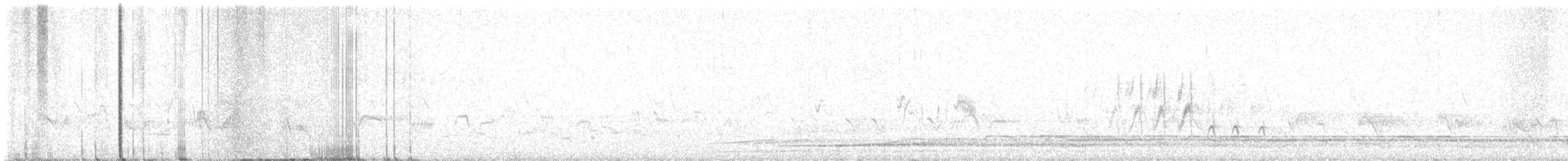 Common Loon - ML637708879